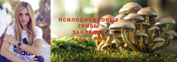 стафф Алексин