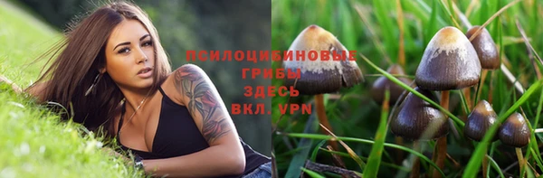 стафф Алексин