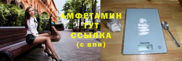 тгк Абаза