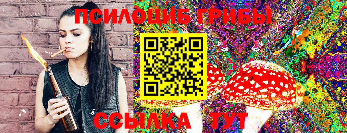Россошь  Псилоцибиновые грибы Psilocybine cubensis  Вход с VPN 